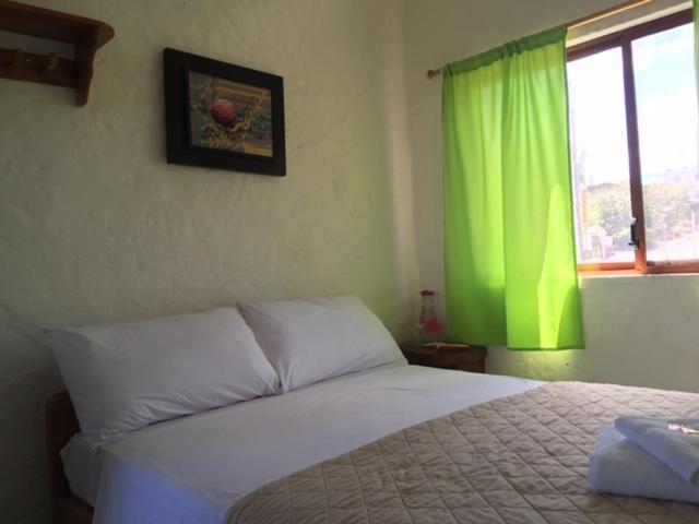 Royal Galapagos Inn 巴克里索莫雷诺港 外观 照片