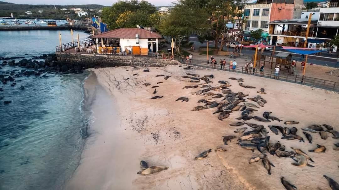 Royal Galapagos Inn 巴克里索莫雷诺港 外观 照片